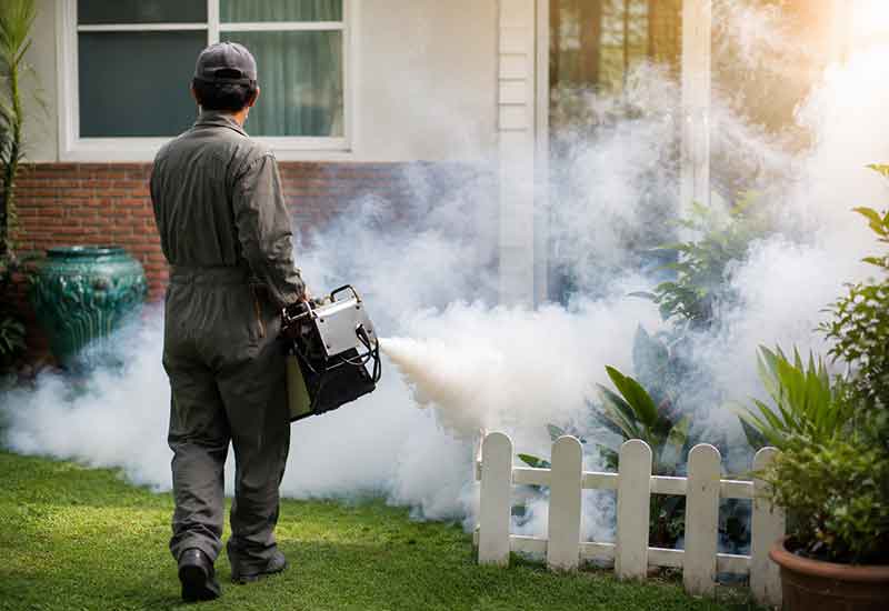 Intervention anti-moustiques dans un jardin du Var
